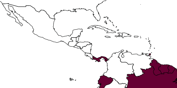map of Cryptocerus atratus     (Linnaeus)